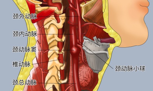 伏立康唑液体价格-伏立康唑片说明书用法用量、伏立康唑液体价格 -伏立康唑丽珠说明书网