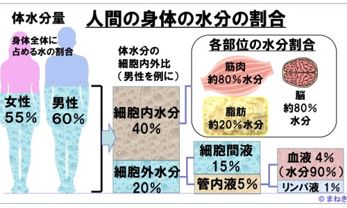 伏立康唑液体价格-伏立康唑片说明书用法用量、伏立康唑液体价格 -伏立康唑丽珠说明书网